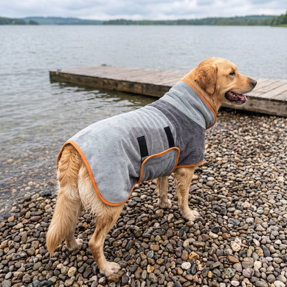 Dry Dock Robe in gray with orange trim, worn by a wet golden retriever on a pebble lake shore, hook-and-loop belly band visible.