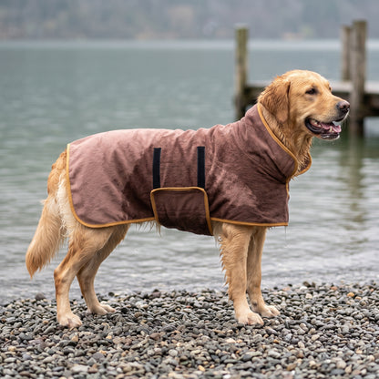 Dry Dock Robe in coffee with mustard trim, worn by a wet golden retriever dripping on a pebble shore beside a lake jetty.