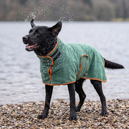 A wet black dog shaking off water at the lake edge, the green Dry Dock Robe staying fastened through the shake.