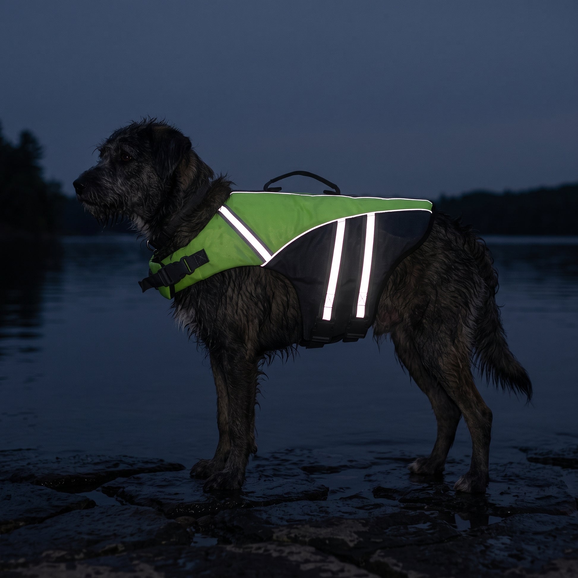Reflective strips on the life jacket lit bright at dusk on a dark lake shoreline
