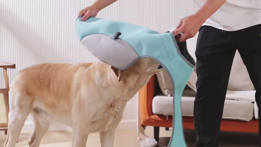 The Coldfront Cooling Vest being fitted over a Labrador's head and fastened, then a close-up of the waffle-weave cooling panel.