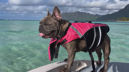 Wavy Life Jacket